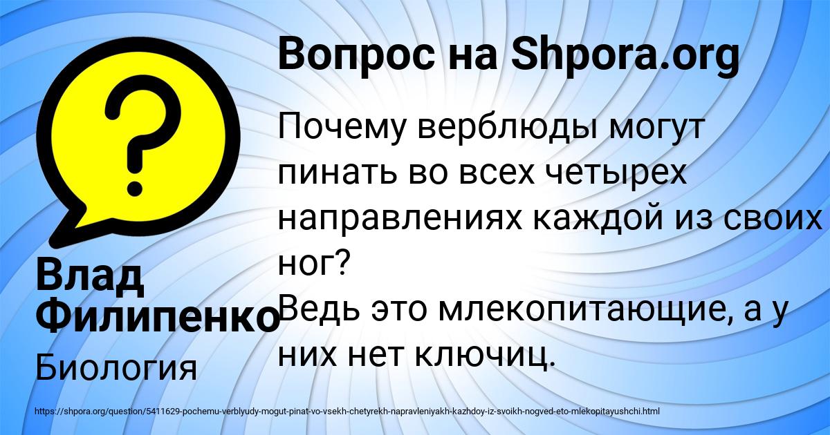 Картинка с текстом вопроса от пользователя Влад Филипенко