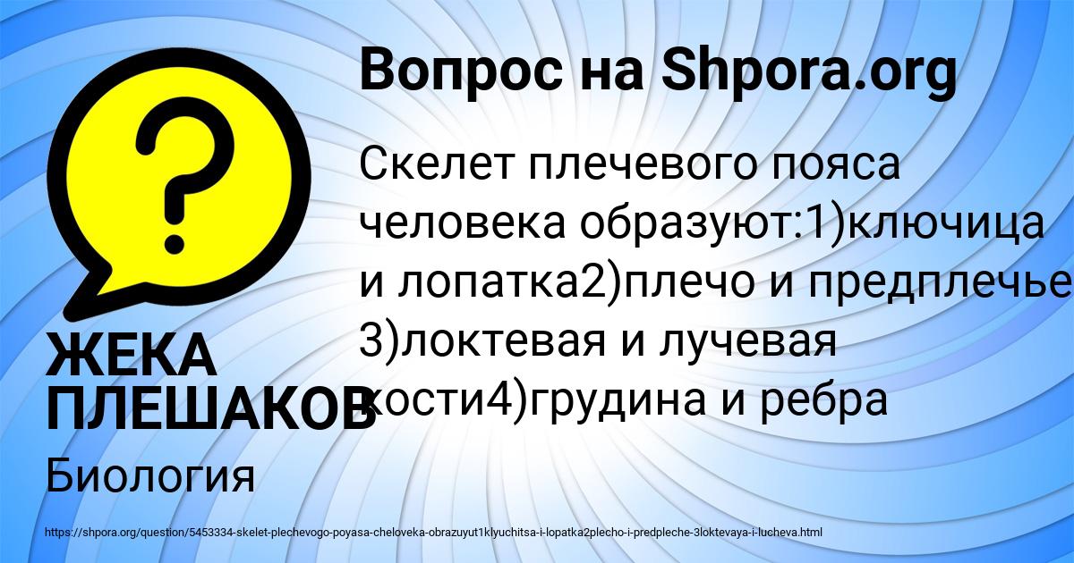 Картинка с текстом вопроса от пользователя ЖЕКА ПЛЕШАКОВ