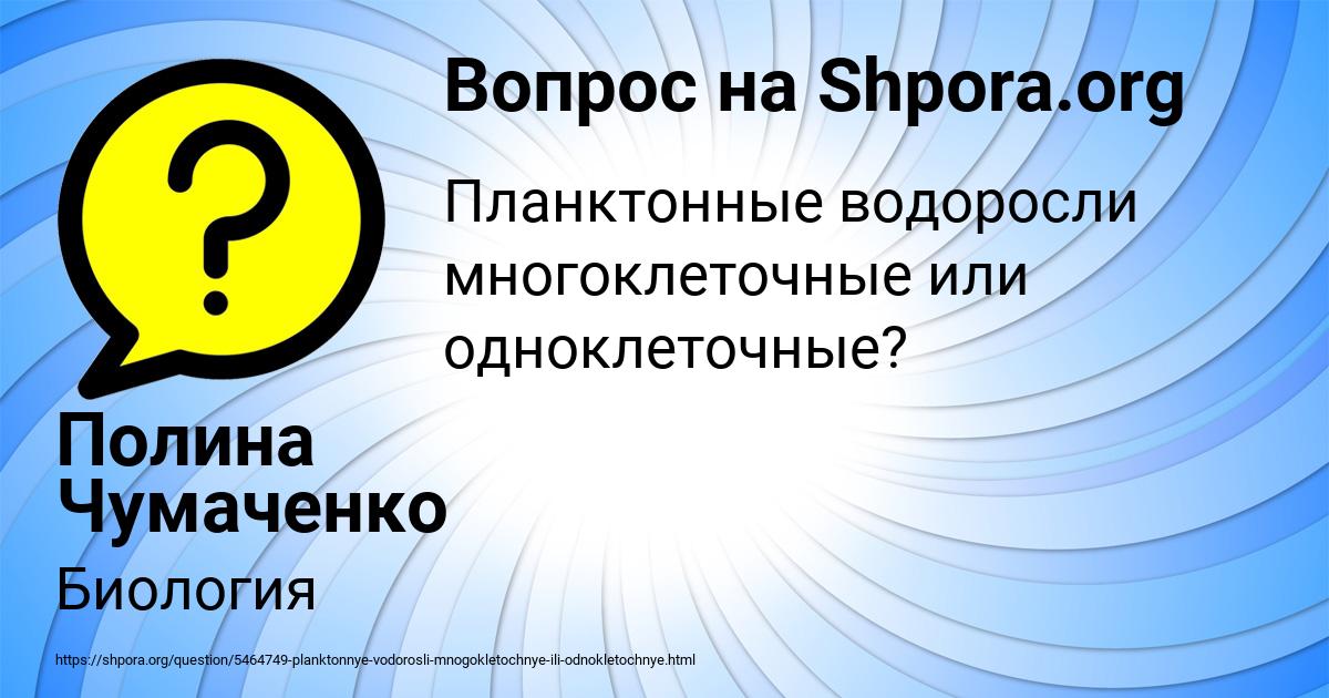 Картинка с текстом вопроса от пользователя Полина Чумаченко