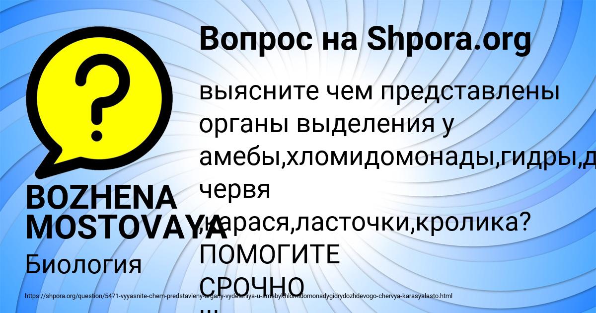 Картинка с текстом вопроса от пользователя BOZHENA MOSTOVAYA