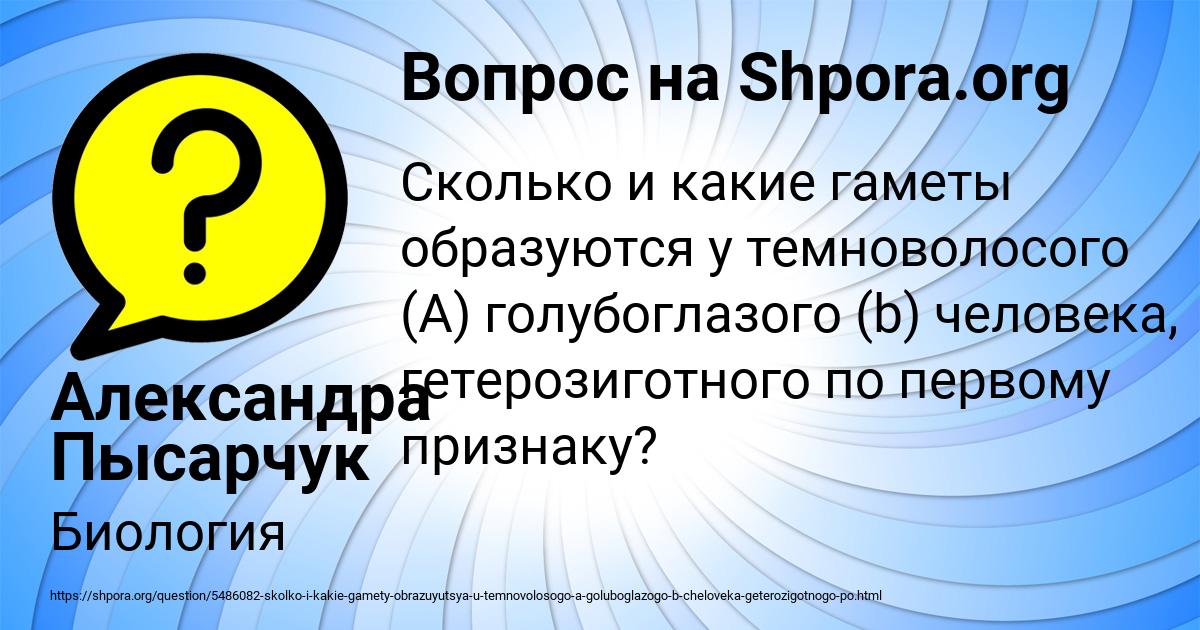 Картинка с текстом вопроса от пользователя Александра Пысарчук