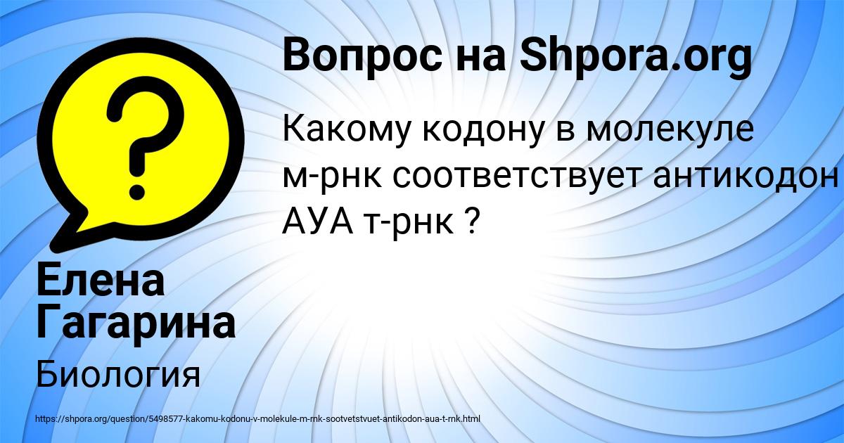 Картинка с текстом вопроса от пользователя Елена Гагарина