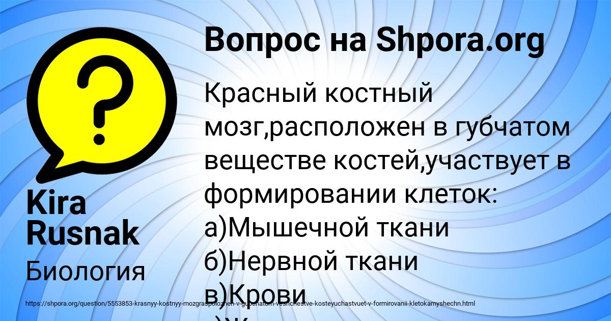 Картинка с текстом вопроса от пользователя Kira Rusnak