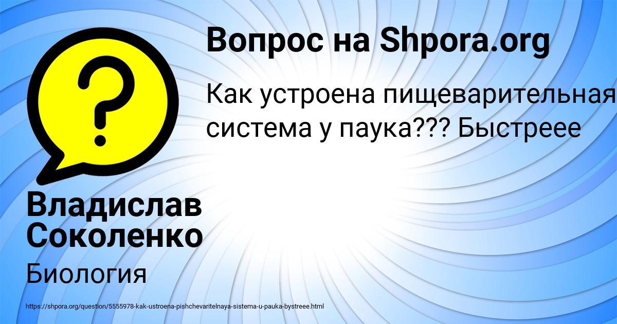 Картинка с текстом вопроса от пользователя Владислав Соколенко