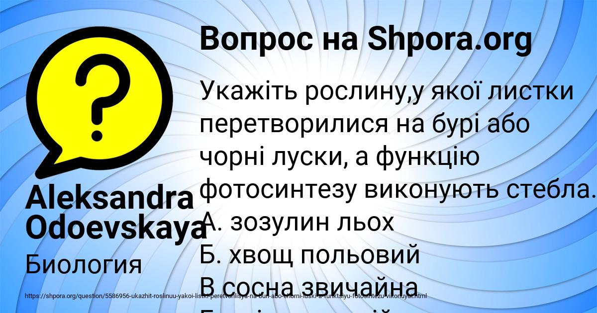 Картинка с текстом вопроса от пользователя Aleksandra Odoevskaya
