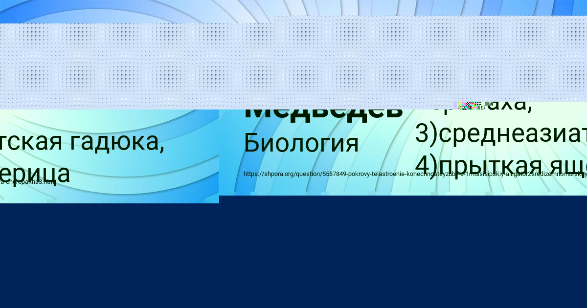 Картинка с текстом вопроса от пользователя Святослав Медведев