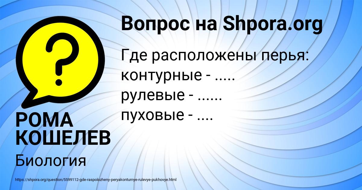Картинка с текстом вопроса от пользователя РОМА КОШЕЛЕВ