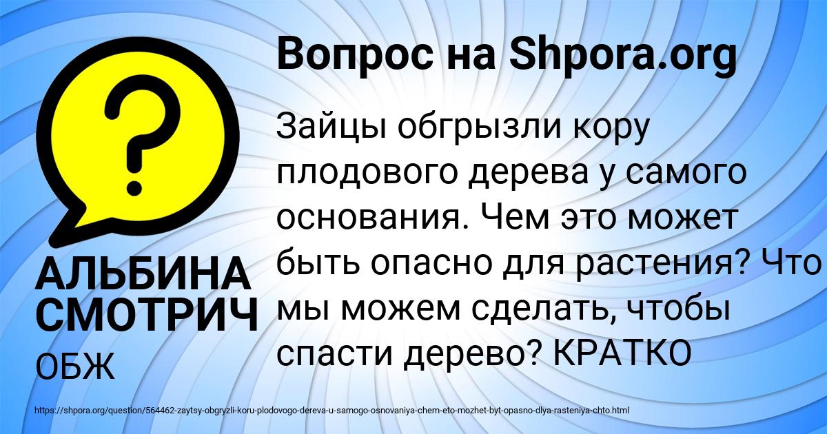 Картинка с текстом вопроса от пользователя АЛЬБИНА СМОТРИЧ