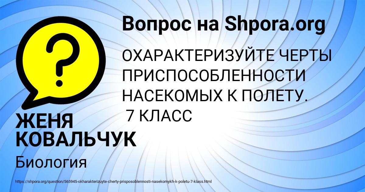 Картинка с текстом вопроса от пользователя ЖЕНЯ КОВАЛЬЧУК