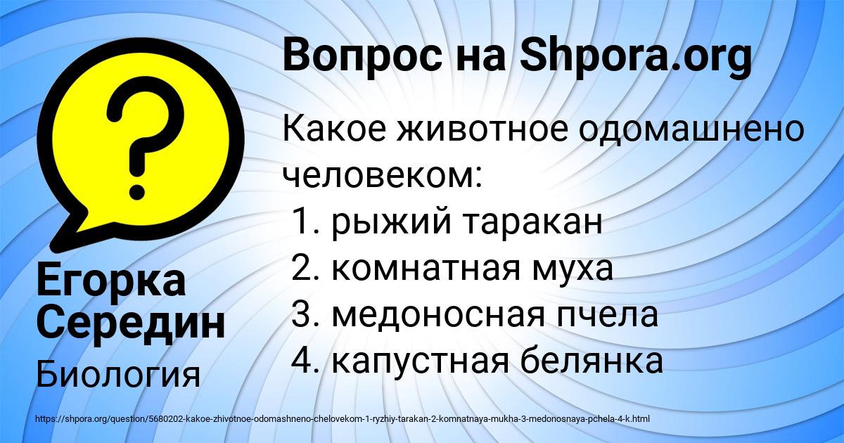 Картинка с текстом вопроса от пользователя Егорка Середин