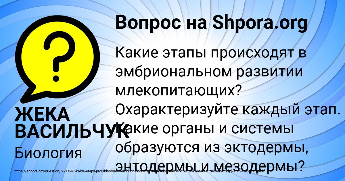Картинка с текстом вопроса от пользователя ЖЕКА ВАСИЛЬЧУК