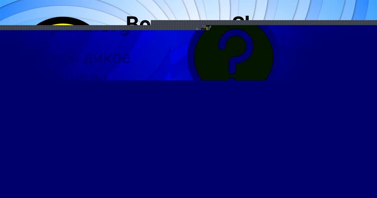 Картинка с текстом вопроса от пользователя Жека Грузинов