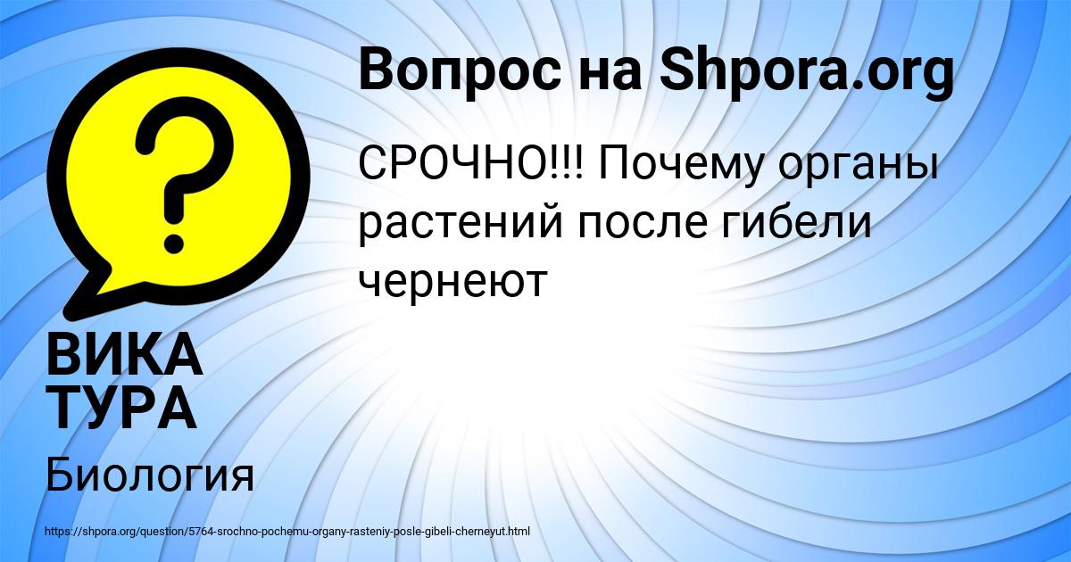Картинка с текстом вопроса от пользователя ВИКА ТУРА