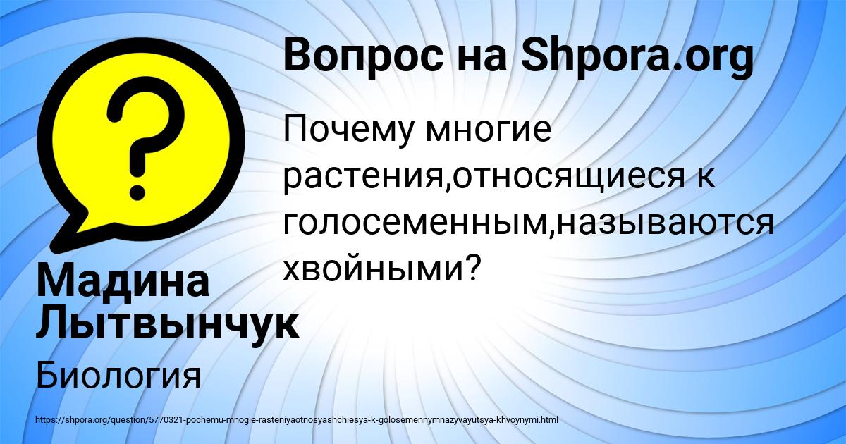 Картинка с текстом вопроса от пользователя Мадина Лытвынчук