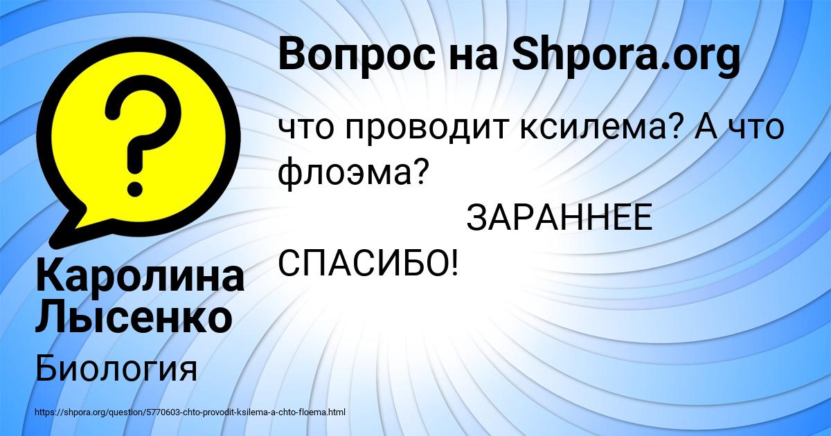 Картинка с текстом вопроса от пользователя Каролина Лысенко