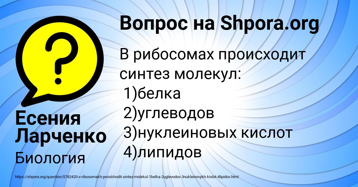 Картинка с текстом вопроса от пользователя Есения Ларченко