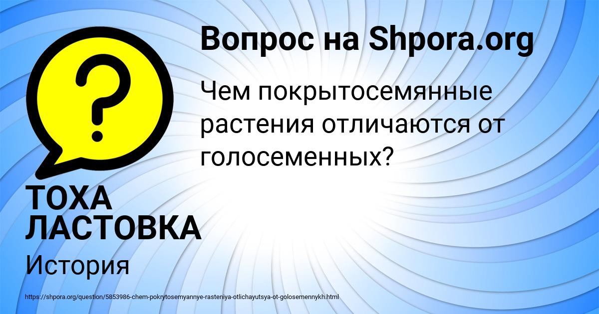 Картинка с текстом вопроса от пользователя ТОХА ЛАСТОВКА