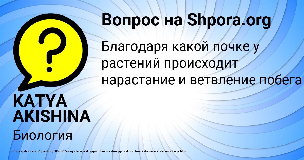 Картинка с текстом вопроса от пользователя KATYA AKISHINA