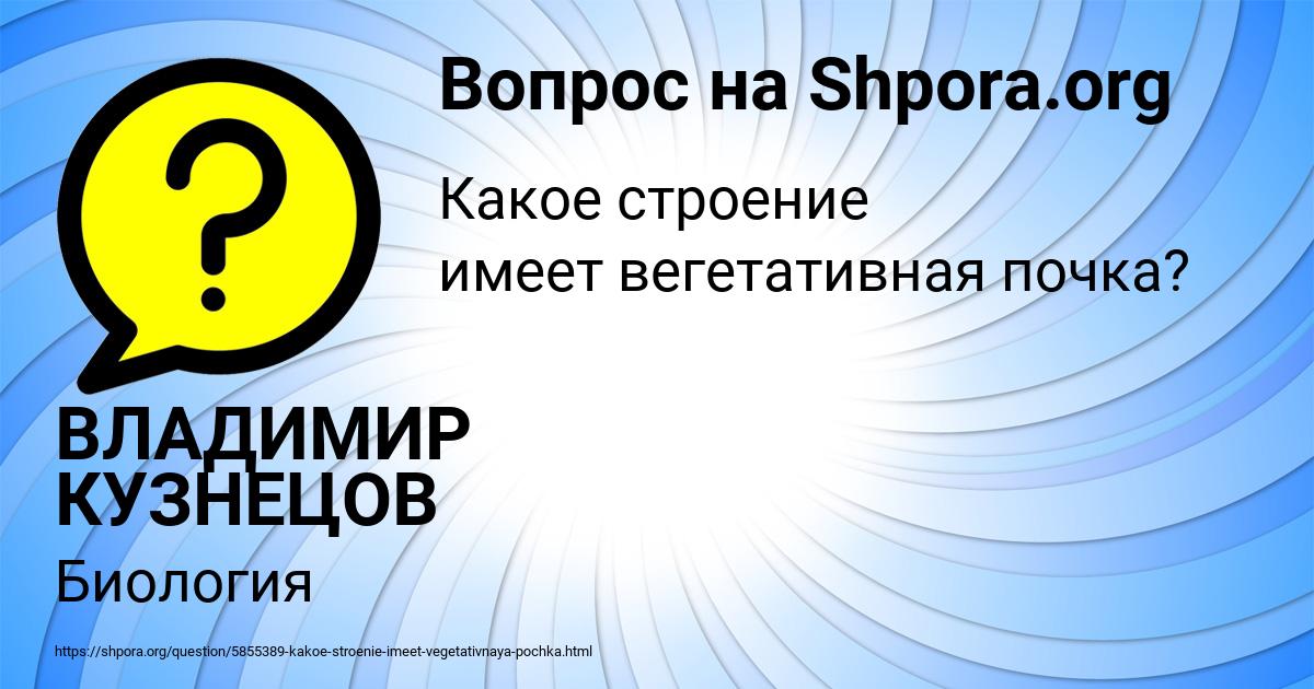 Картинка с текстом вопроса от пользователя ВЛАДИМИР КУЗНЕЦОВ