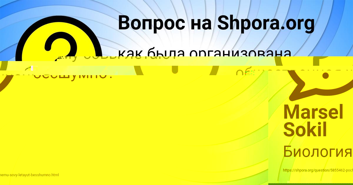 Картинка с текстом вопроса от пользователя Marsel Sokil