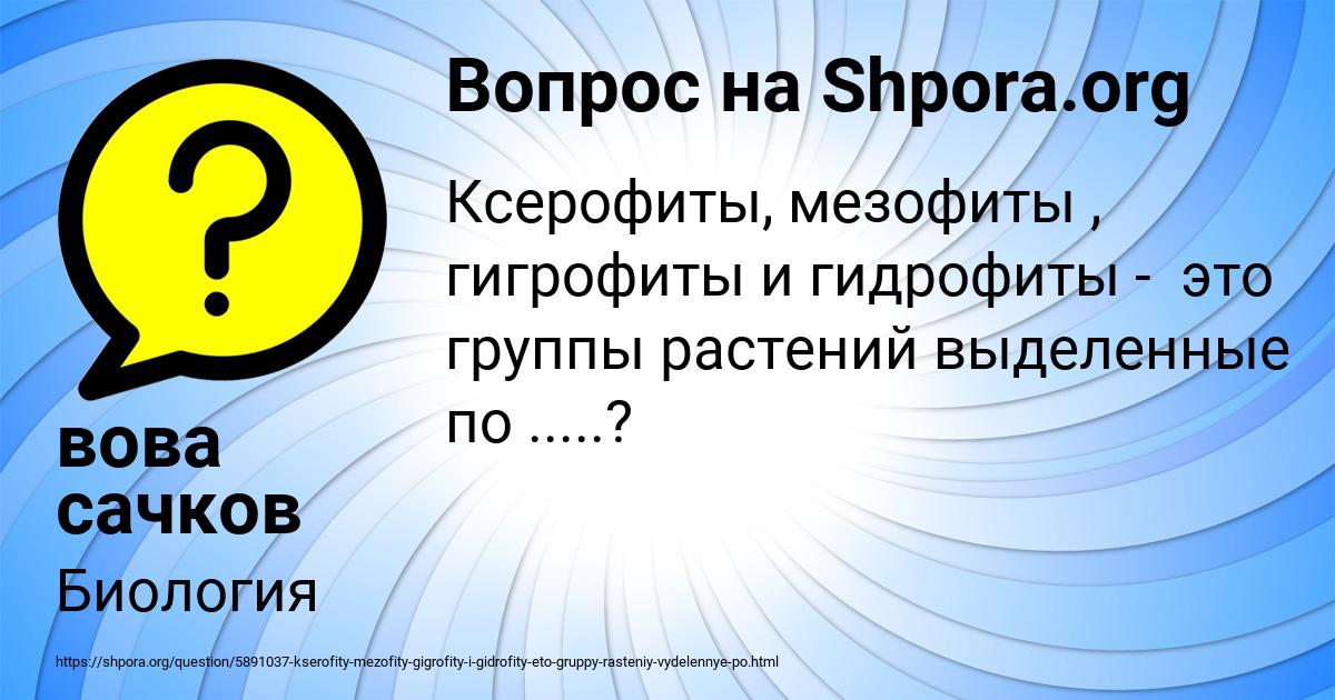 Картинка с текстом вопроса от пользователя вова сачков