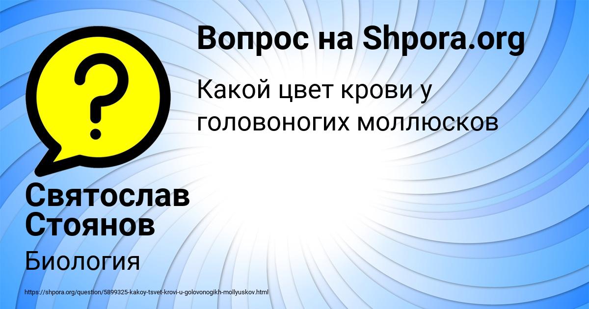 Картинка с текстом вопроса от пользователя Святослав Стоянов