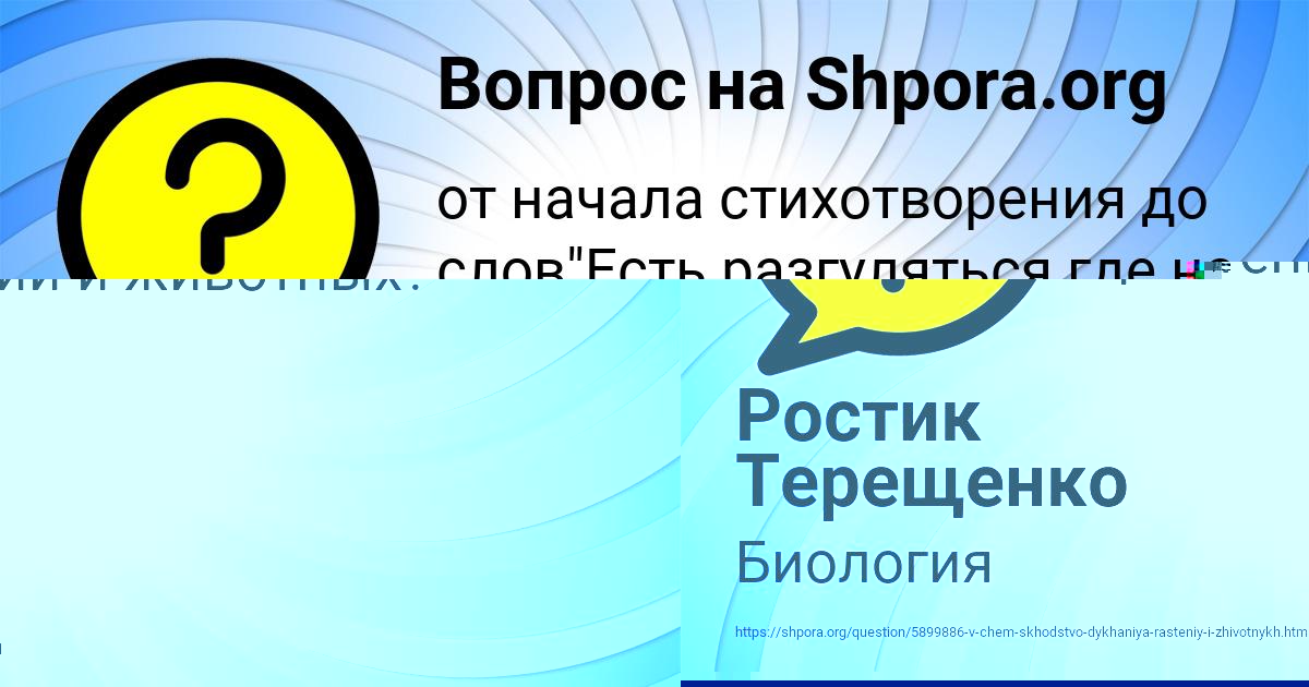 Картинка с текстом вопроса от пользователя Ростик Терещенко