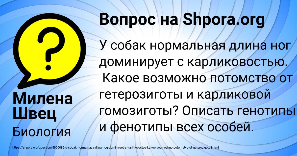 Картинка с текстом вопроса от пользователя Милена Швец
