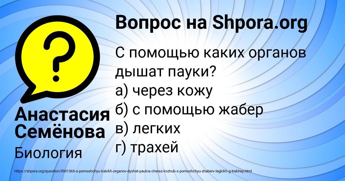 Картинка с текстом вопроса от пользователя Анастасия Семёнова