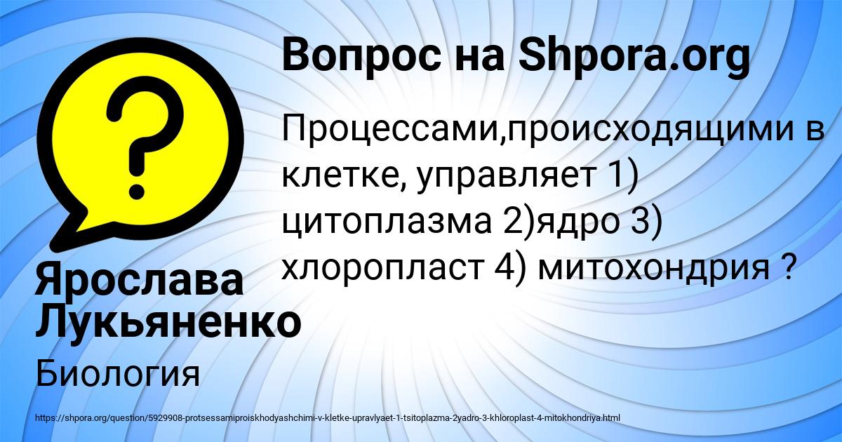 Картинка с текстом вопроса от пользователя Ярослава Лукьяненко