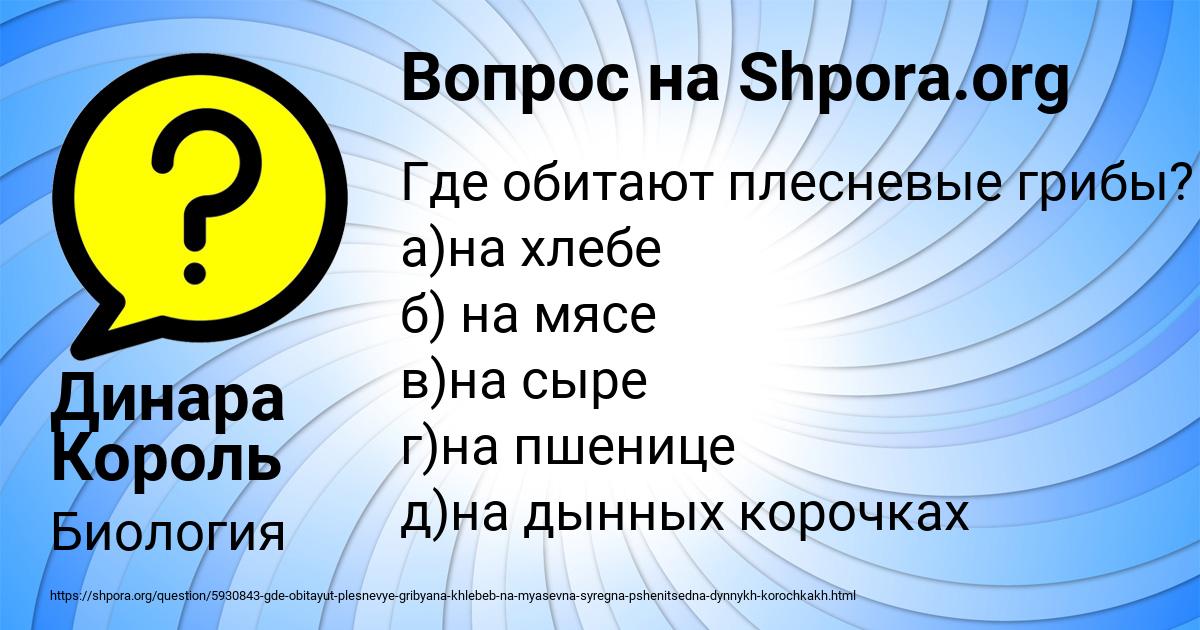 Картинка с текстом вопроса от пользователя Динара Король