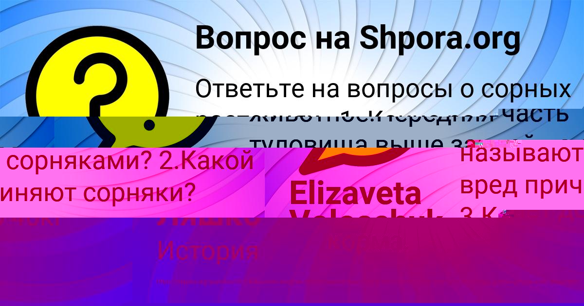 Картинка с текстом вопроса от пользователя Маша Марченко