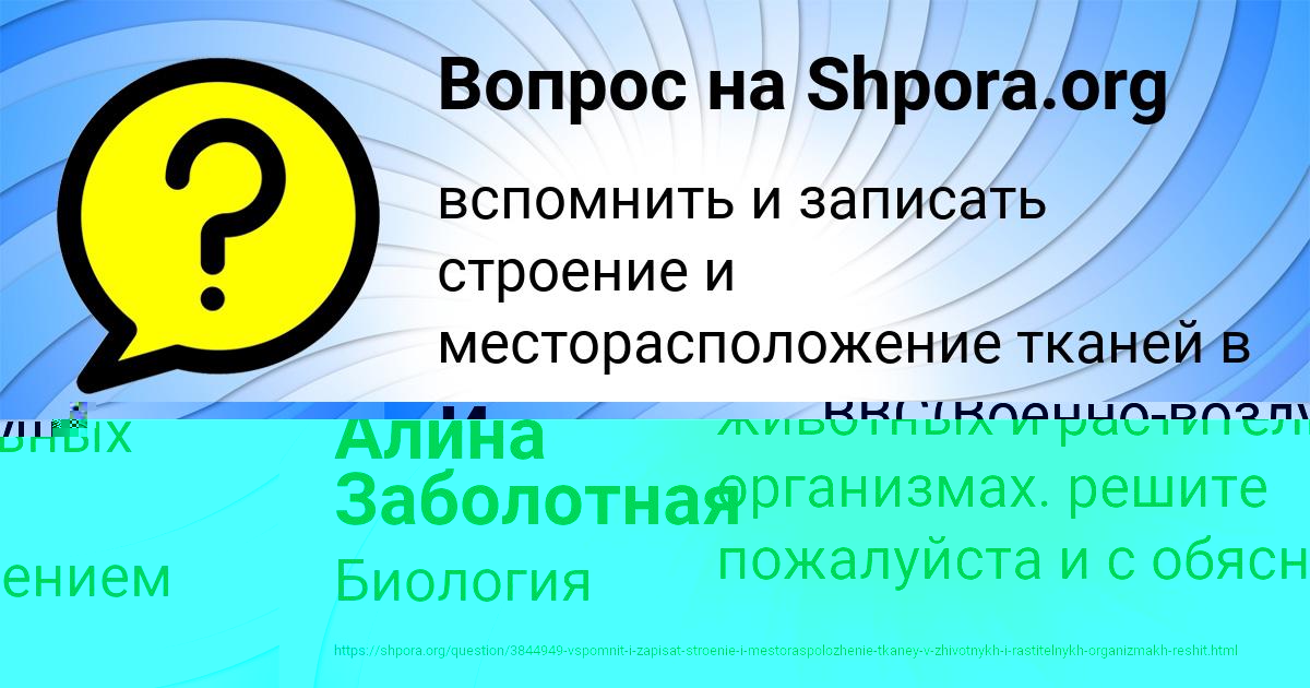 Картинка с текстом вопроса от пользователя Саида Левина