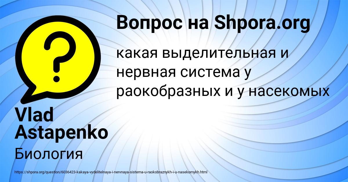 Картинка с текстом вопроса от пользователя Vlad Astapenko 