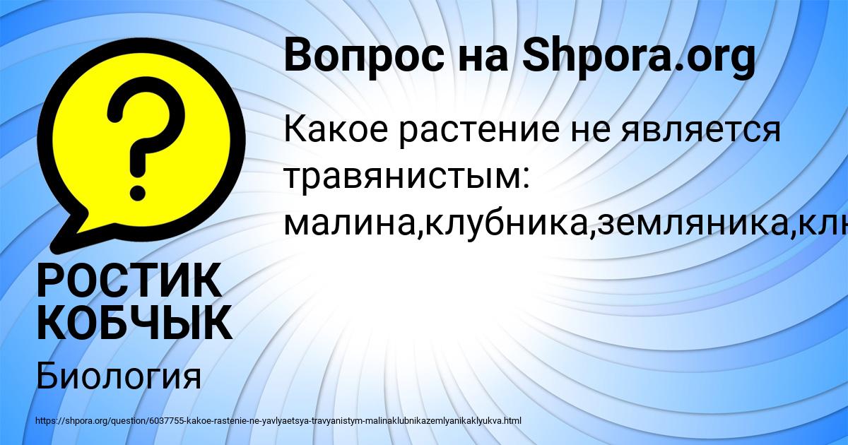 Картинка с текстом вопроса от пользователя РОСТИК КОБЧЫК