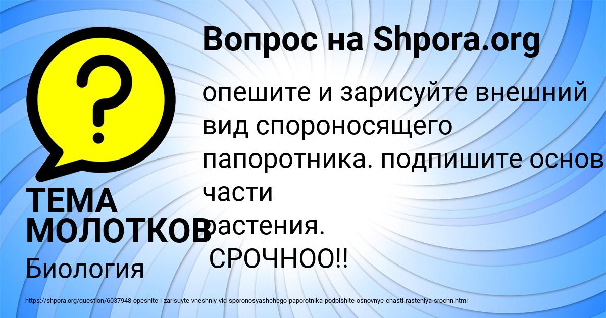 Картинка с текстом вопроса от пользователя ТЕМА МОЛОТКОВ