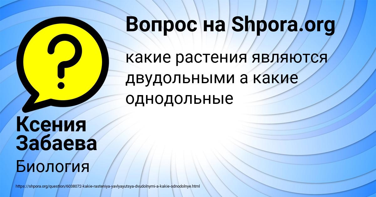 Картинка с текстом вопроса от пользователя Ксения Забаева