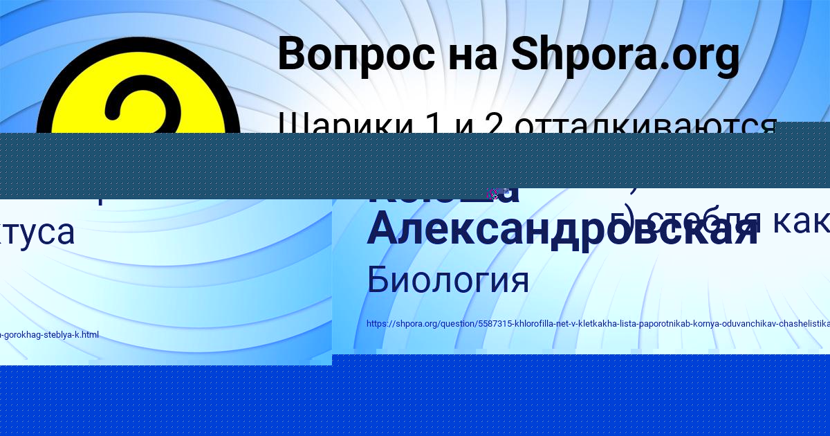 Картинка с текстом вопроса от пользователя Асия Конюхова