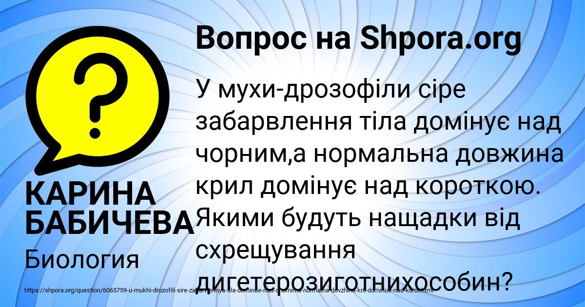 Картинка с текстом вопроса от пользователя КАРИНА БАБИЧЕВА