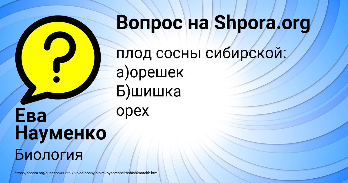 Картинка с текстом вопроса от пользователя Ева Науменко