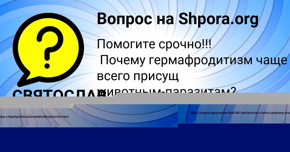Картинка с текстом вопроса от пользователя Karolina Somenko