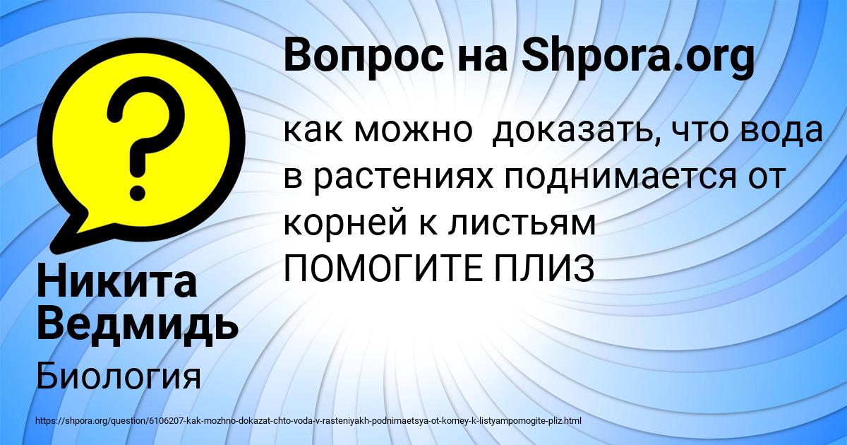 Картинка с текстом вопроса от пользователя Никита Ведмидь