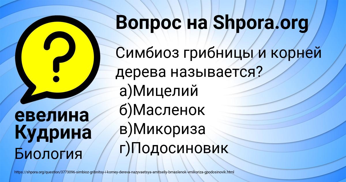 Картинка с текстом вопроса от пользователя VOVA LITVINOV