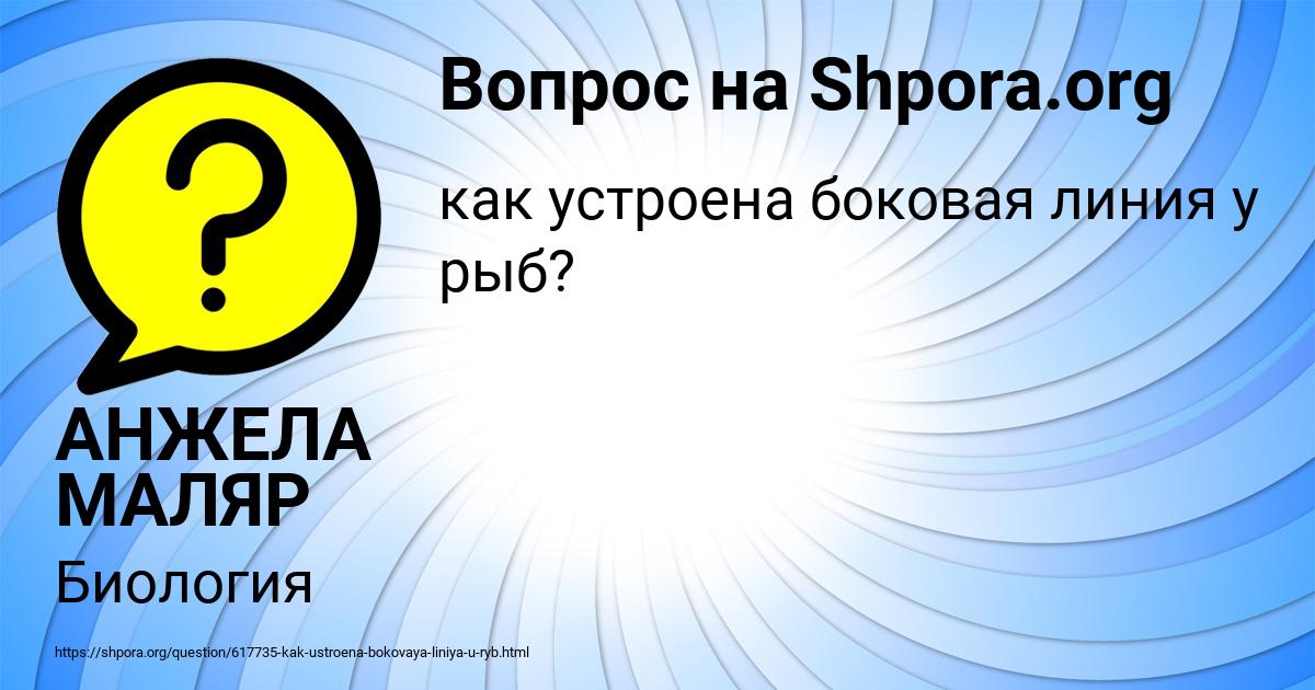 Картинка с текстом вопроса от пользователя АНЖЕЛА МАЛЯР
