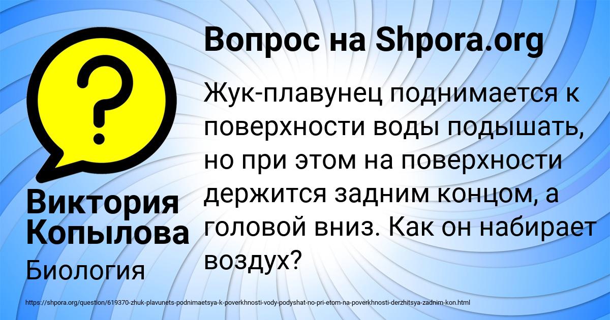 Картинка с текстом вопроса от пользователя Виктория Копылова