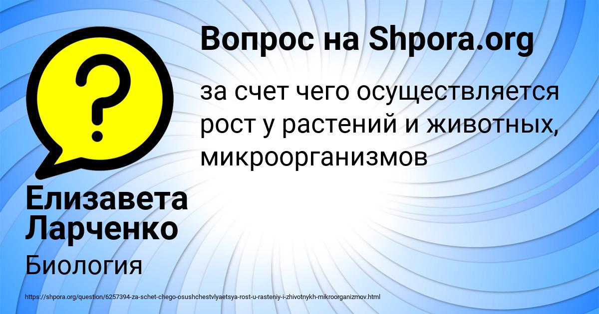 Картинка с текстом вопроса от пользователя Елизавета Ларченко
