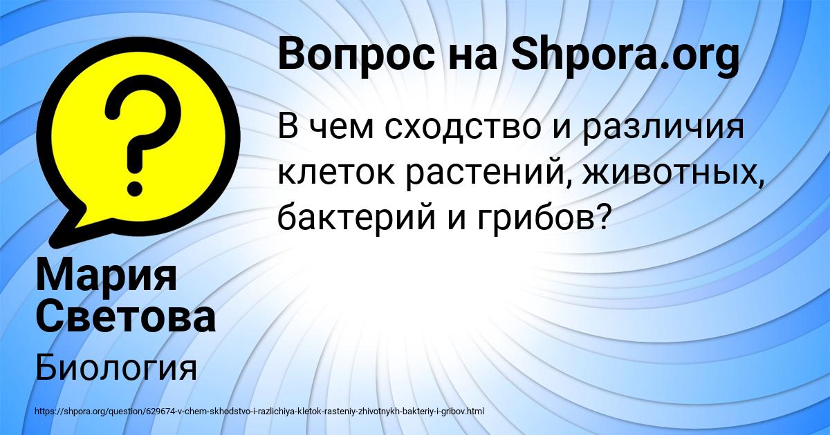 Картинка с текстом вопроса от пользователя Мария Светова