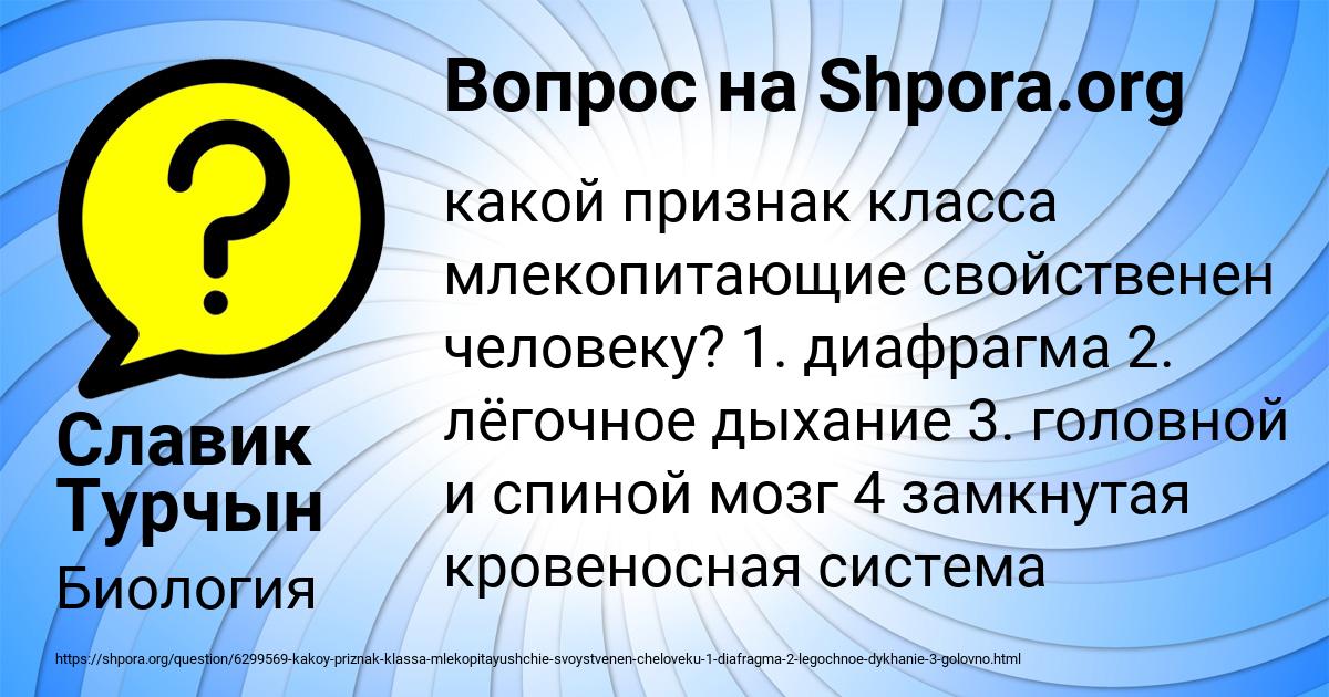 Картинка с текстом вопроса от пользователя Славик Турчын