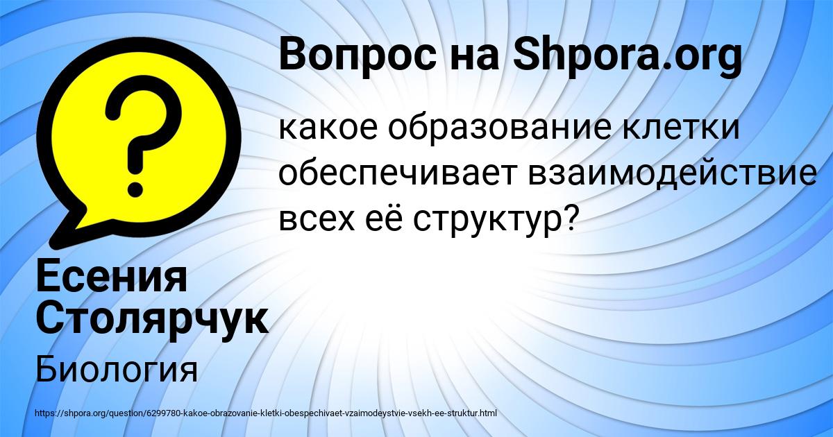 Картинка с текстом вопроса от пользователя Есения Столярчук