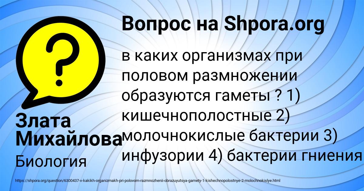 Картинка с текстом вопроса от пользователя Злата Михайлова